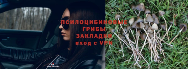 мяу мяу мука Абинск