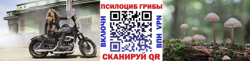 Галлюциногенные грибы прущие грибы где продают наркотики Александровск-Сахалинский